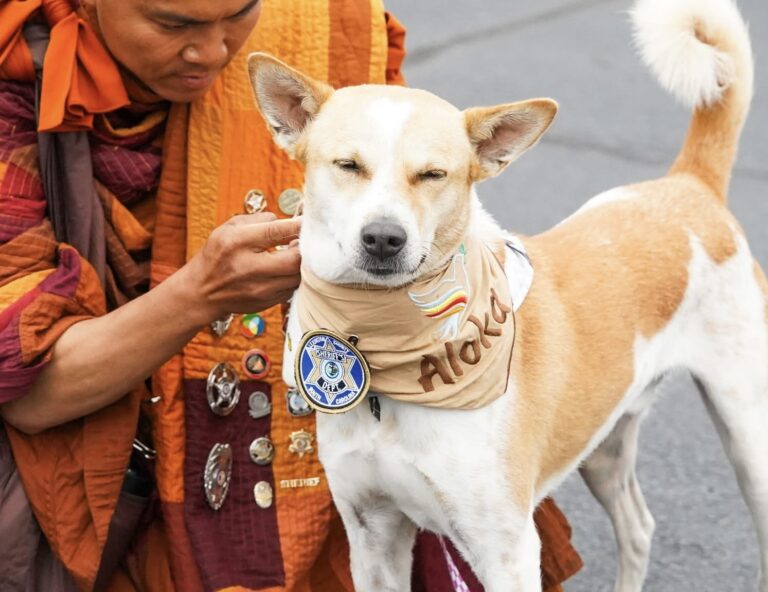 Global Peace Icon ‘Aloka’ to Receive Top-Tier Protection in Sri Lanka