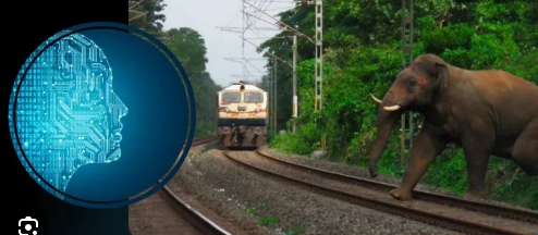 The Sri Lankan developing AI powered technology to protect elephants from train strikes