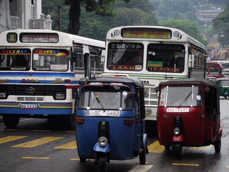 Public Transport Services Gradually Regain Momentum After Holiday Lull