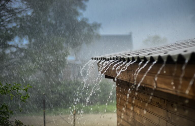 Low pressure area persists: Heavy falls about 100 mm expected (May 14)