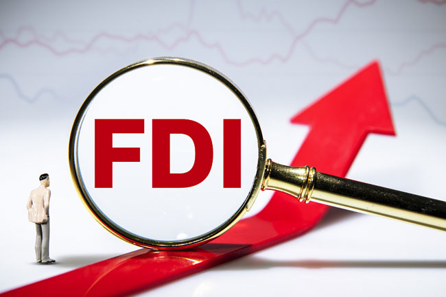 FDI strategy gaps undermine Sri Lanka investment goals