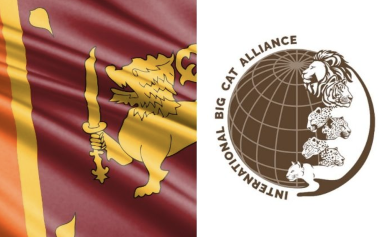 Sri Lanka Joins India-Led International Big Cat Alliance