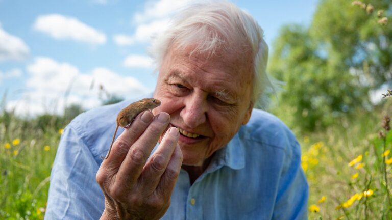 The Man Who Taught Me to Listen to the Earth: A Sri Lankan Tribute to David Attenborough at 100