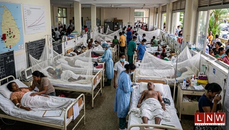 Dengue Infections Near 80,000 as July Records Sharp Spike Across Sri Lanka