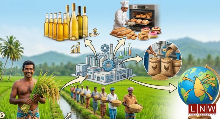 Sri Lanka Opens Rice Market beyond Plates to Protect Farmers