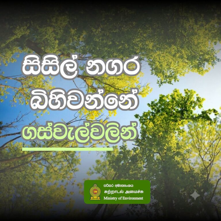 Urban Forests Key to Building Climate-Resilient Cities: Ministry