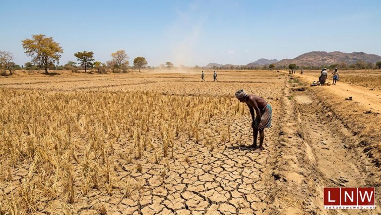 Prolonged Dry Spell Puts Farmers Under Growing Pressure in Several Provinces