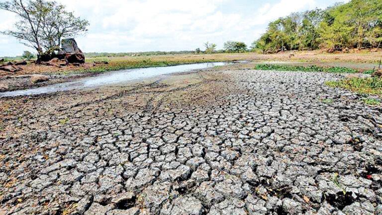 El Niño-Linked Dry Spell Affects More Than 80,000 People Across Sri Lanka