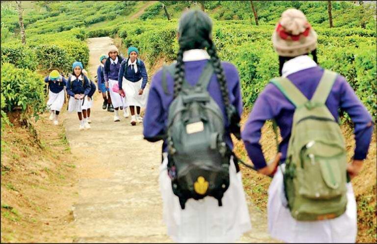 New Education System to Help Lighten Schoolchildren’s Bags